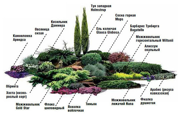 сад