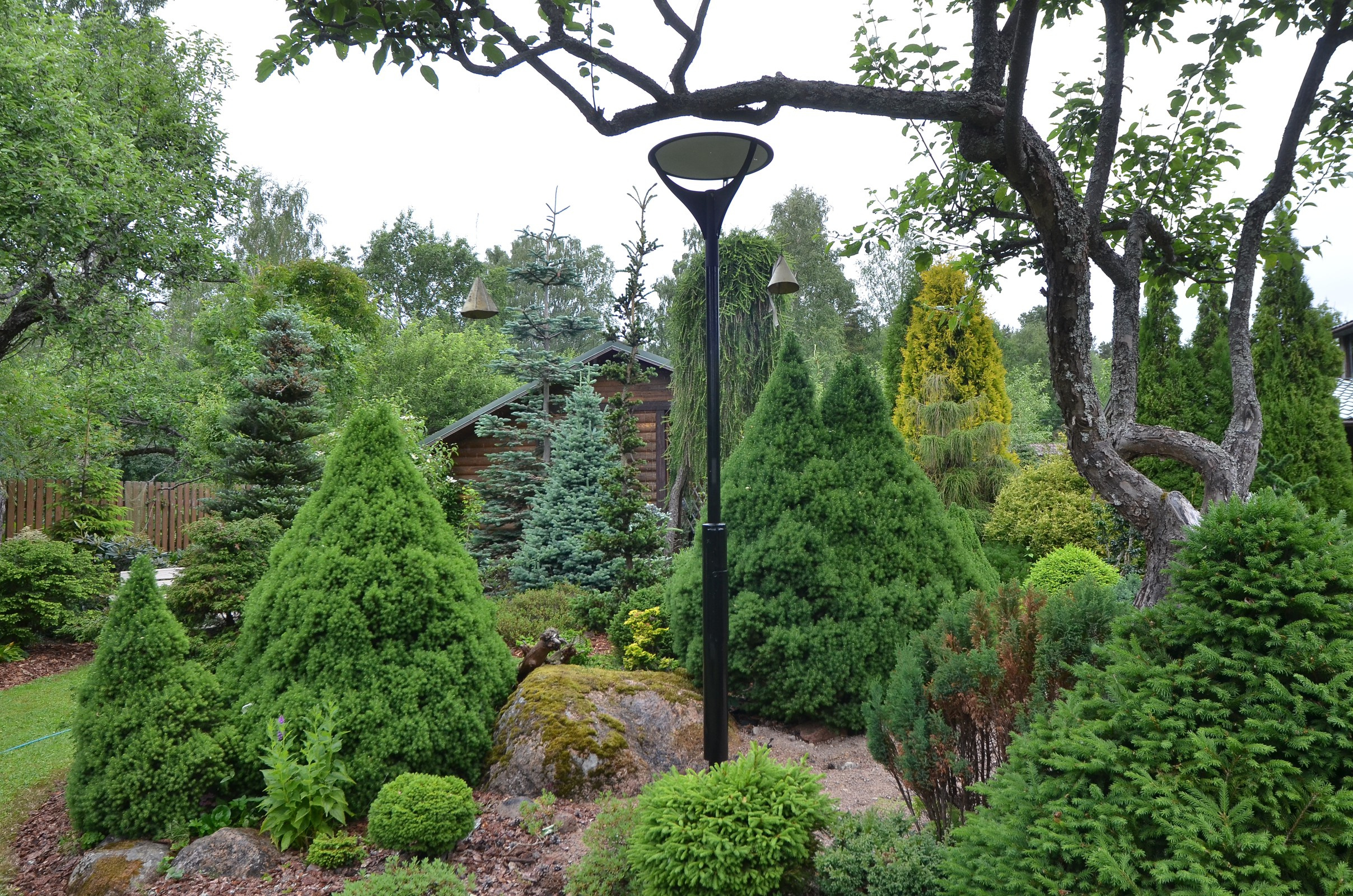 Houzz тур: Хвойный сад ххххххххх