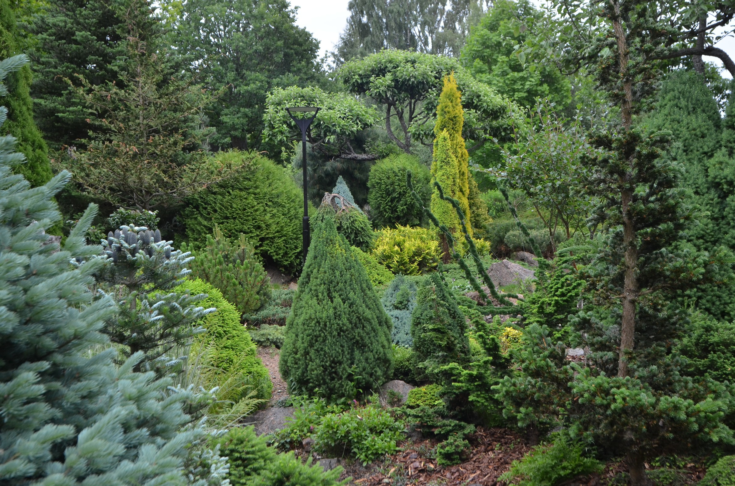 Houzz тур: Хвойный сад ххххххххх