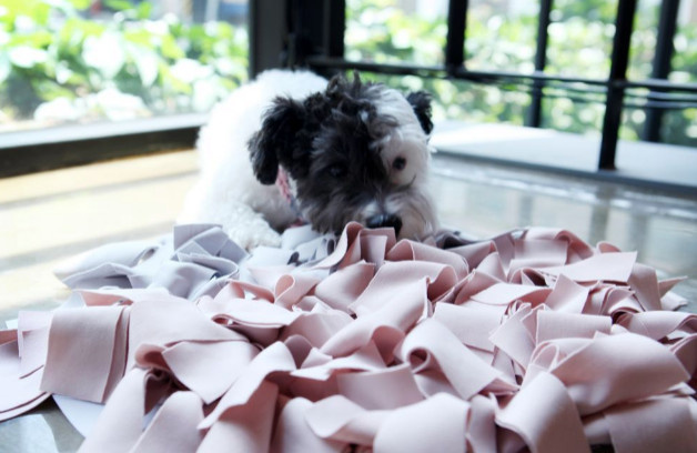 Maison&Objet _Aut2019