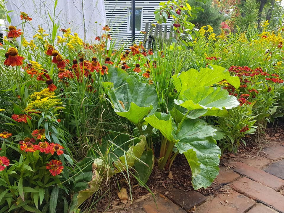 Сад недели: Белорусская хата — на краю поля ржи