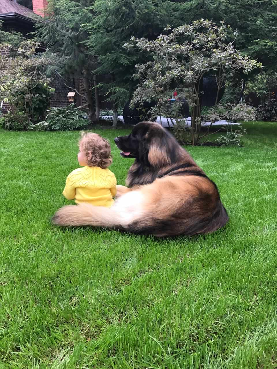 В гостях: Сад на 14 сотках, где живут круглый год