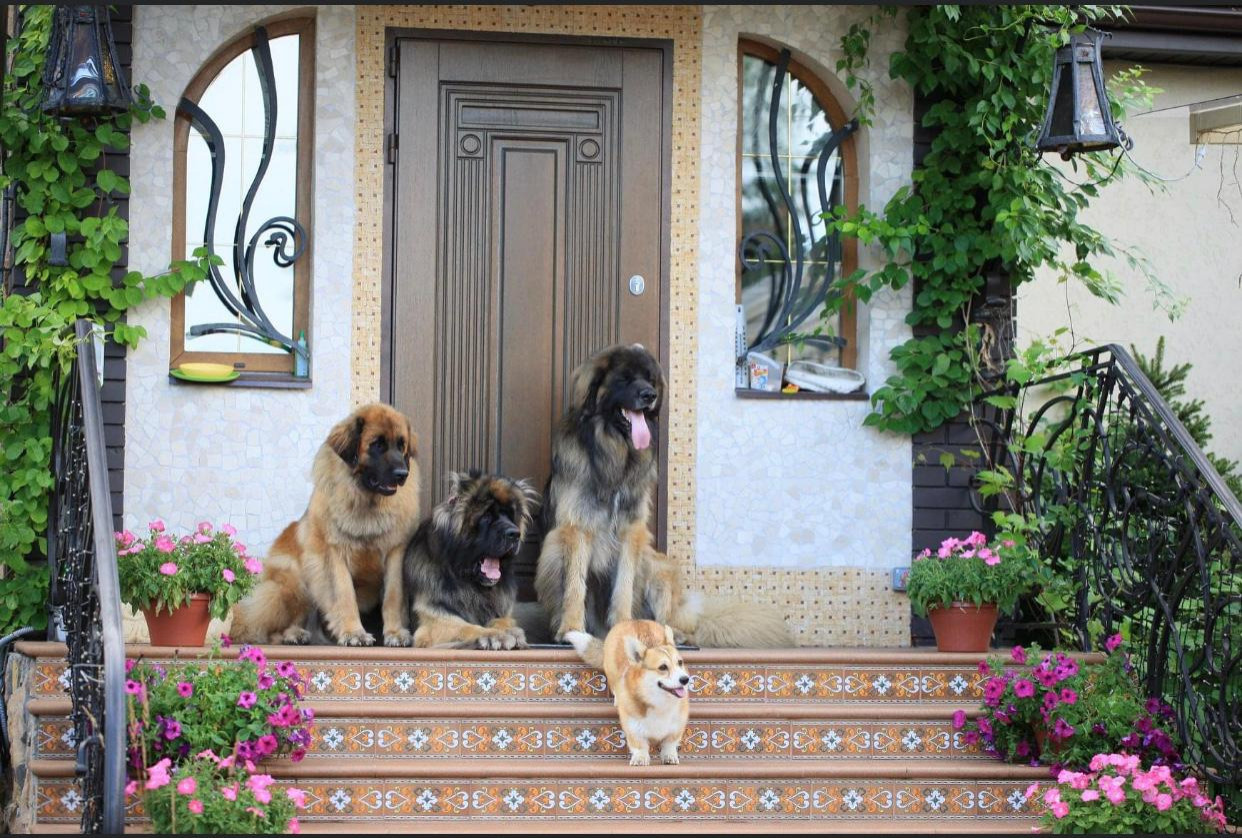 В гостях: Сад на 14 сотках, где живут круглый год