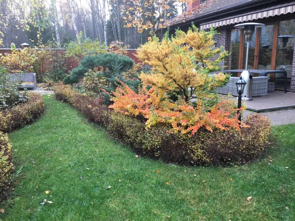 В гостях: Сад на 14 сотках, где живут круглый год