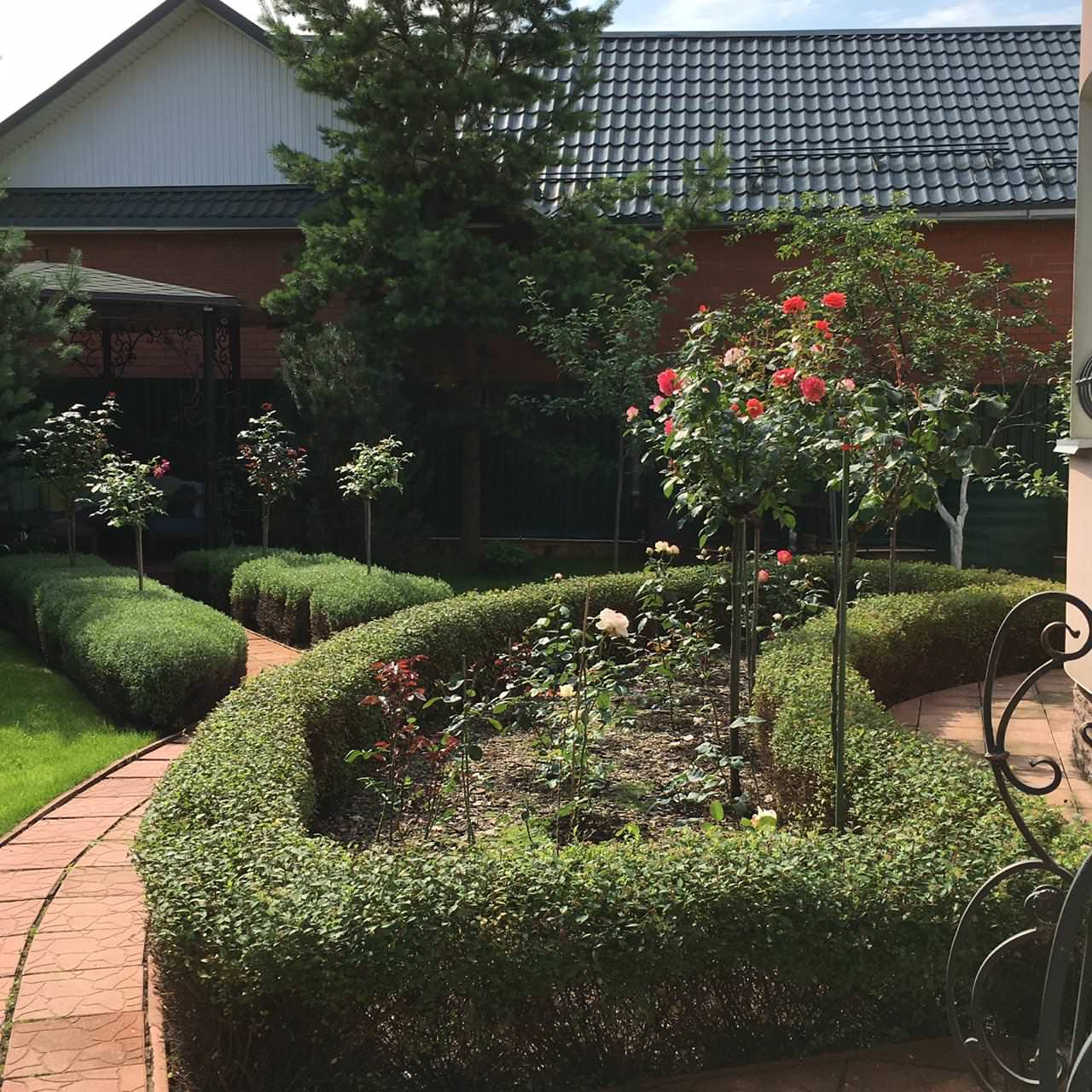 В гостях: Садик как во Франции в подмосковных Рыбаках