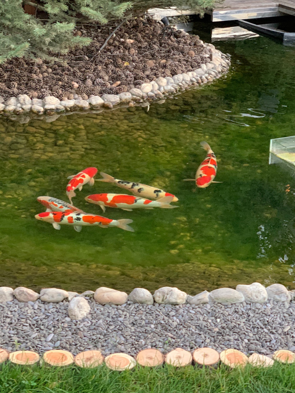 В гостях: Загадочный сад в Херсоне на 12 сотках