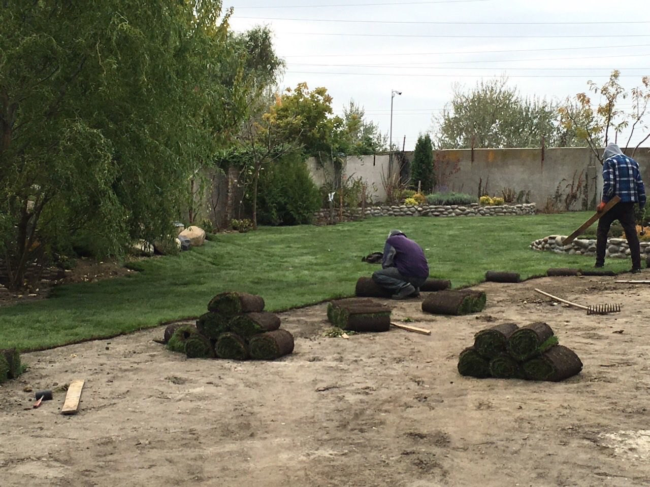 В гостях: Загадочный сад в Херсоне на 12 сотках