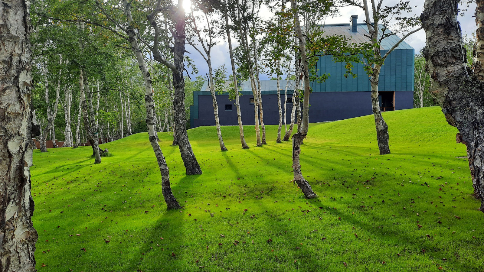 Houzz тур: Дом на Камчатке с видом на вулканы