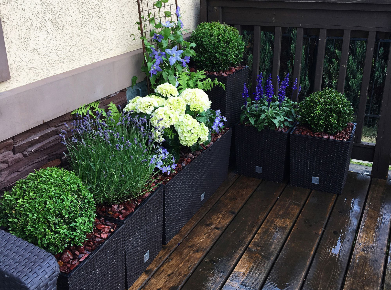 Что-то с чем-то: Как создавать композиции из растений