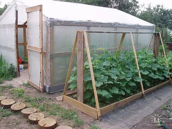 парник домиком на грядку: 2 тыс изображений найдено в Яндекс.Картинках