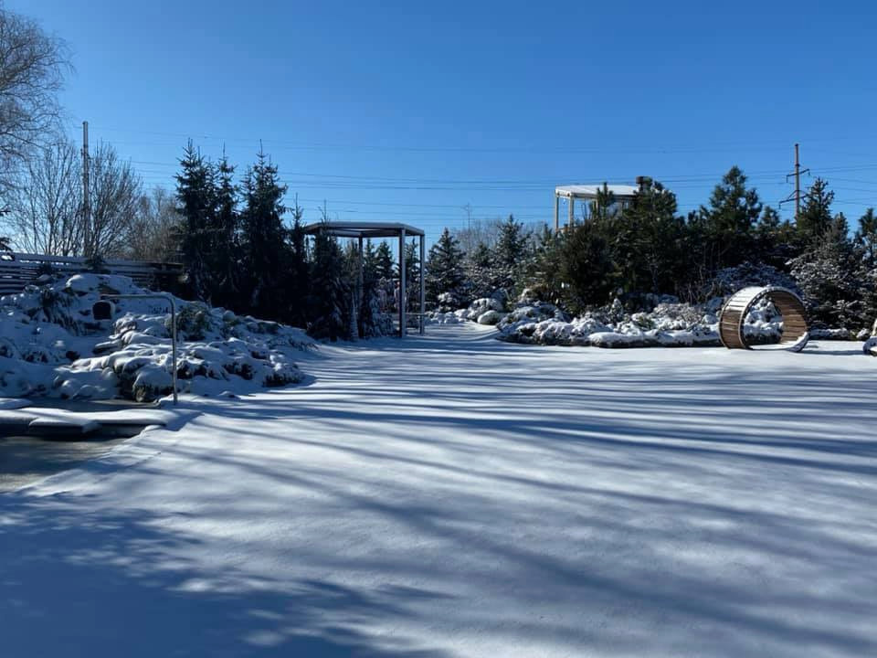 В гостях: Загадочный сад в Херсоне на 12 сотках