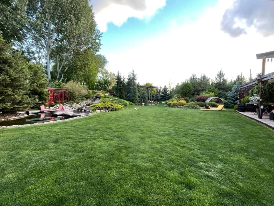 В гостях: Загадочный сад в Херсоне на 12 сотках