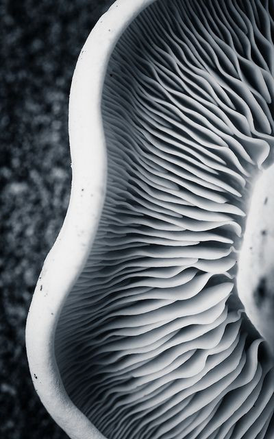 Art ceramics