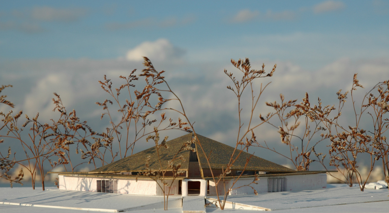 Villa-Gorky-Conzept