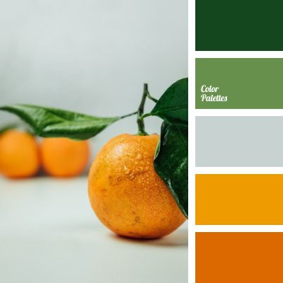 Palette