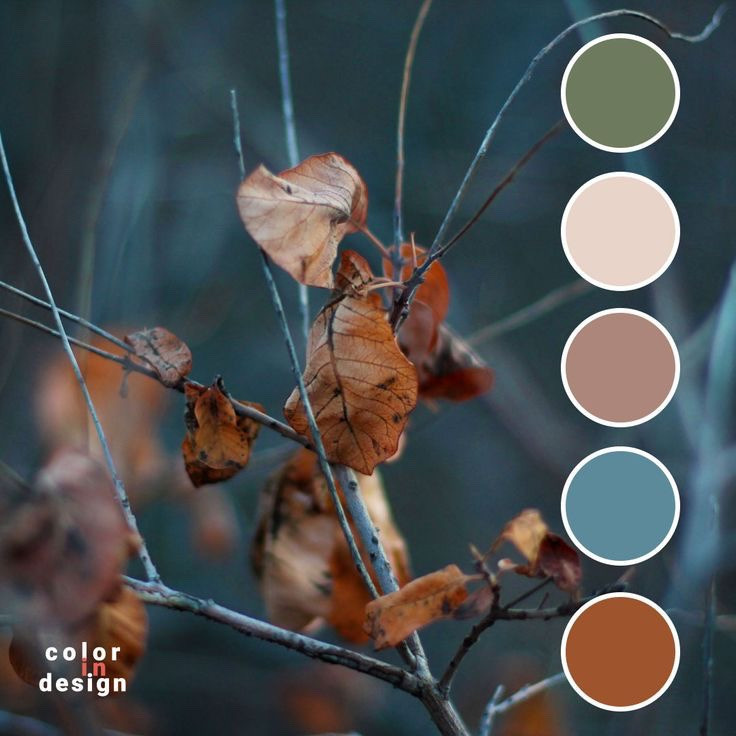 Palette
