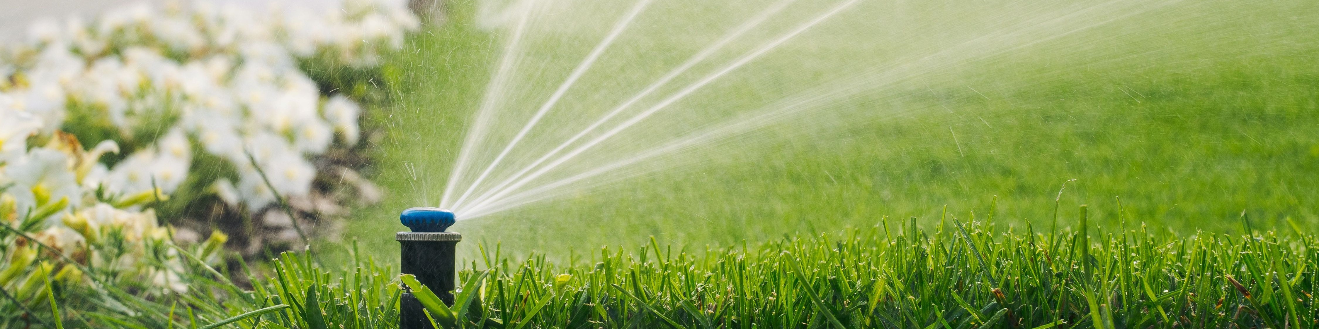 Автополив 21