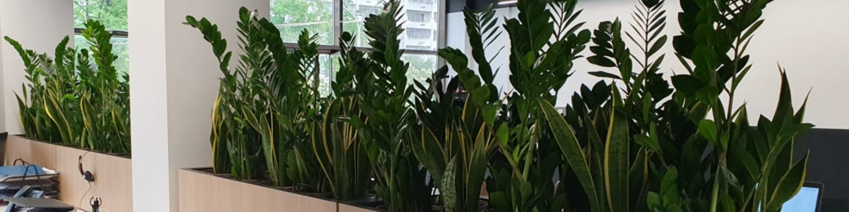 Фоновое изображение профиля Ирэн Лакуста