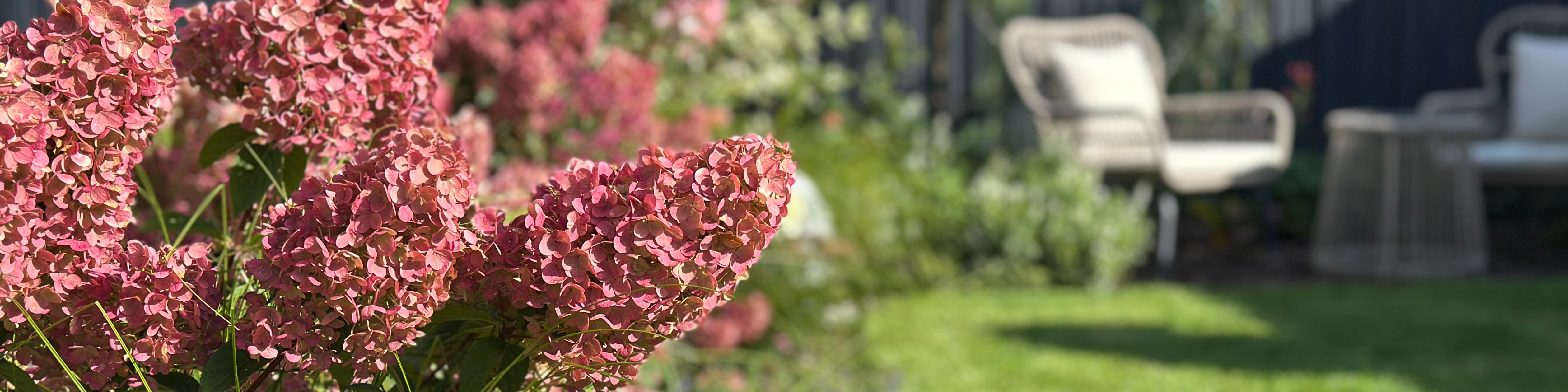 Фоновое изображение профиля Regina Husainova