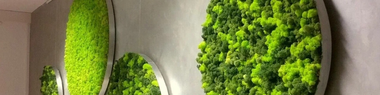 Вячеслав Спасский