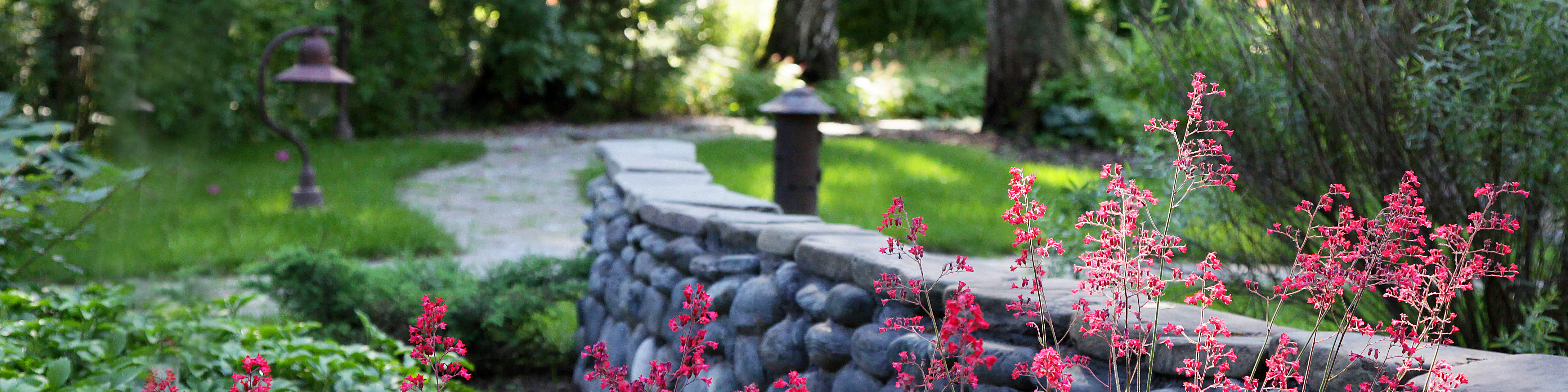 Фоновое изображение профиля Елена Кича