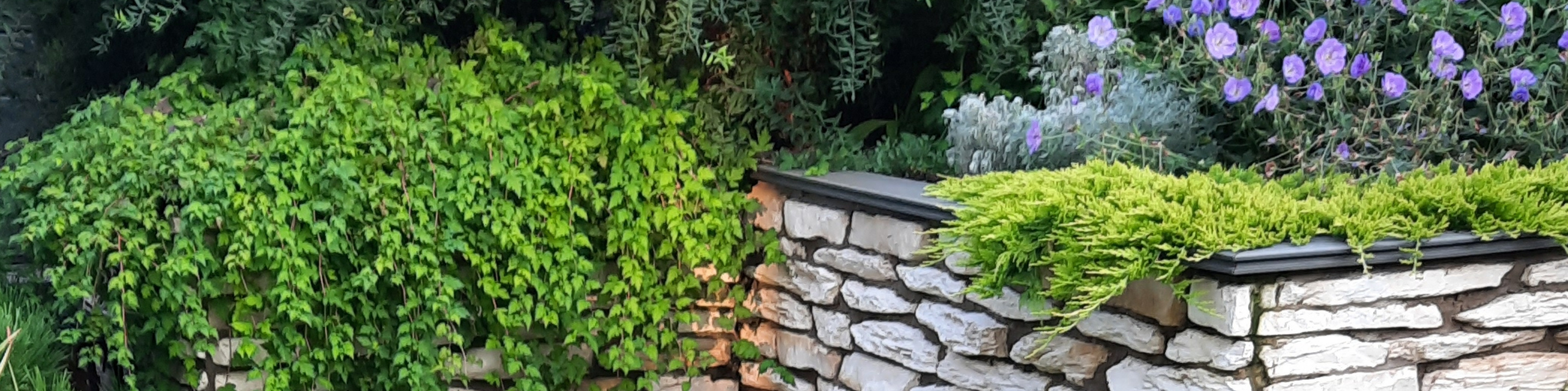 Фоновое изображение профиля Галина Наумова