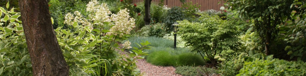 Наталья Голуб