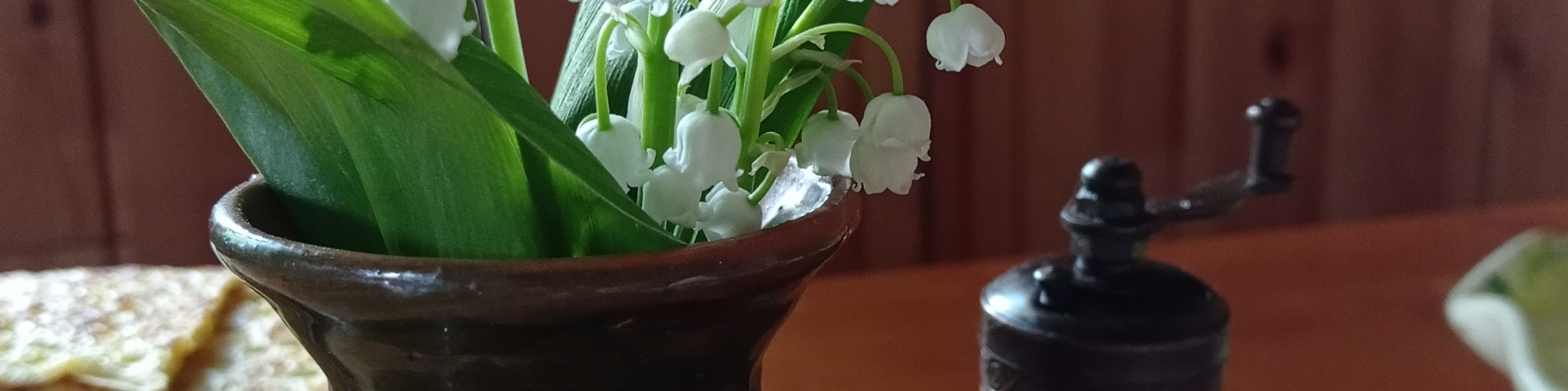 Эмма Ягафарова