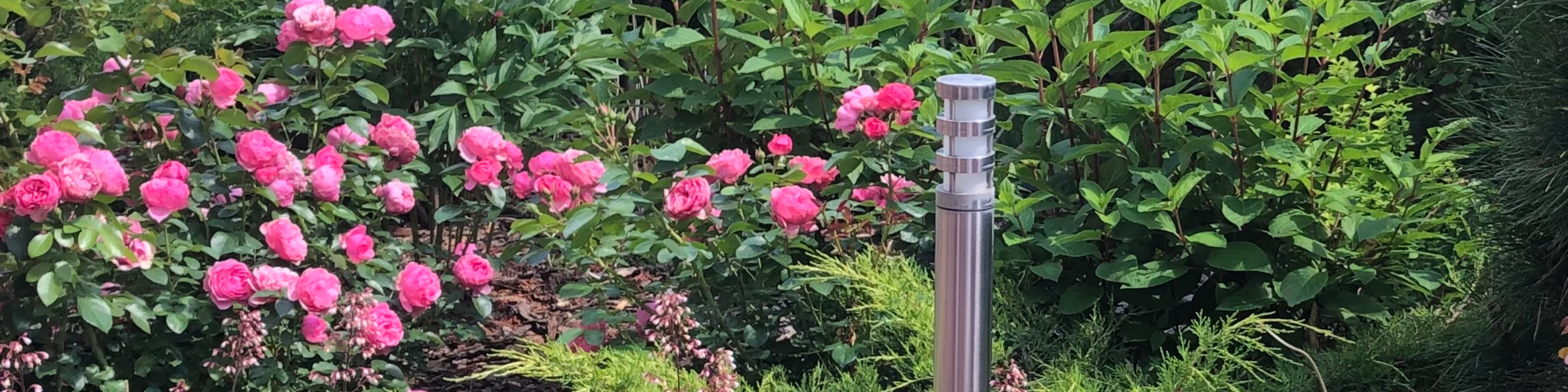 Марина Береснева