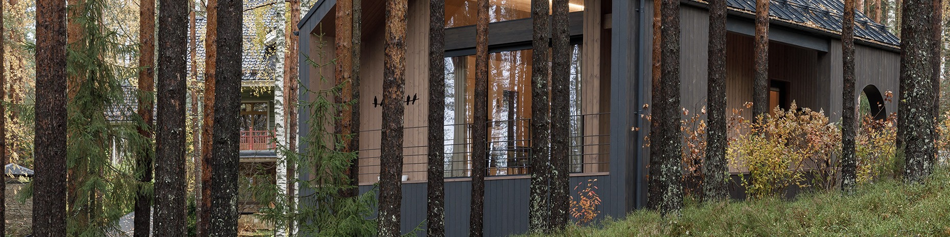 Фоновое изображение профиля Вадим Кучковский