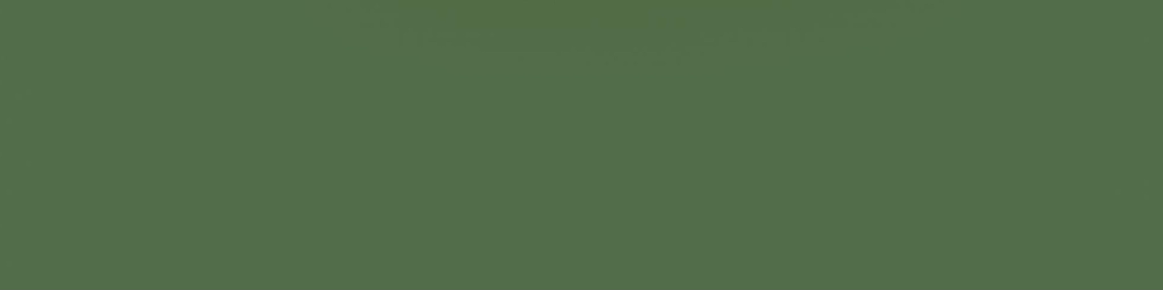 Евгений Чичвархин