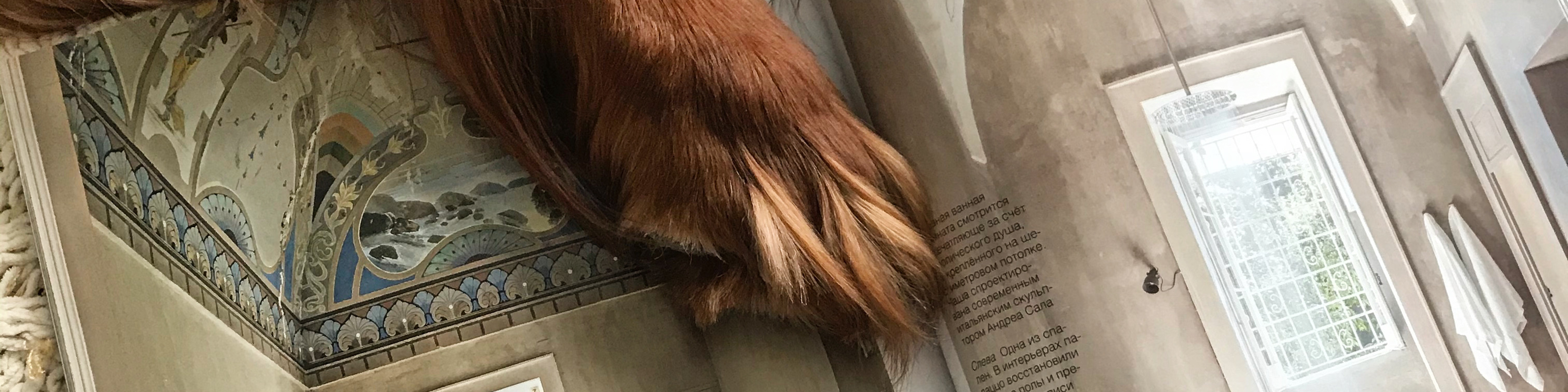 Фоновое изображение профиля Anastasia SIBERIAN DESIGN