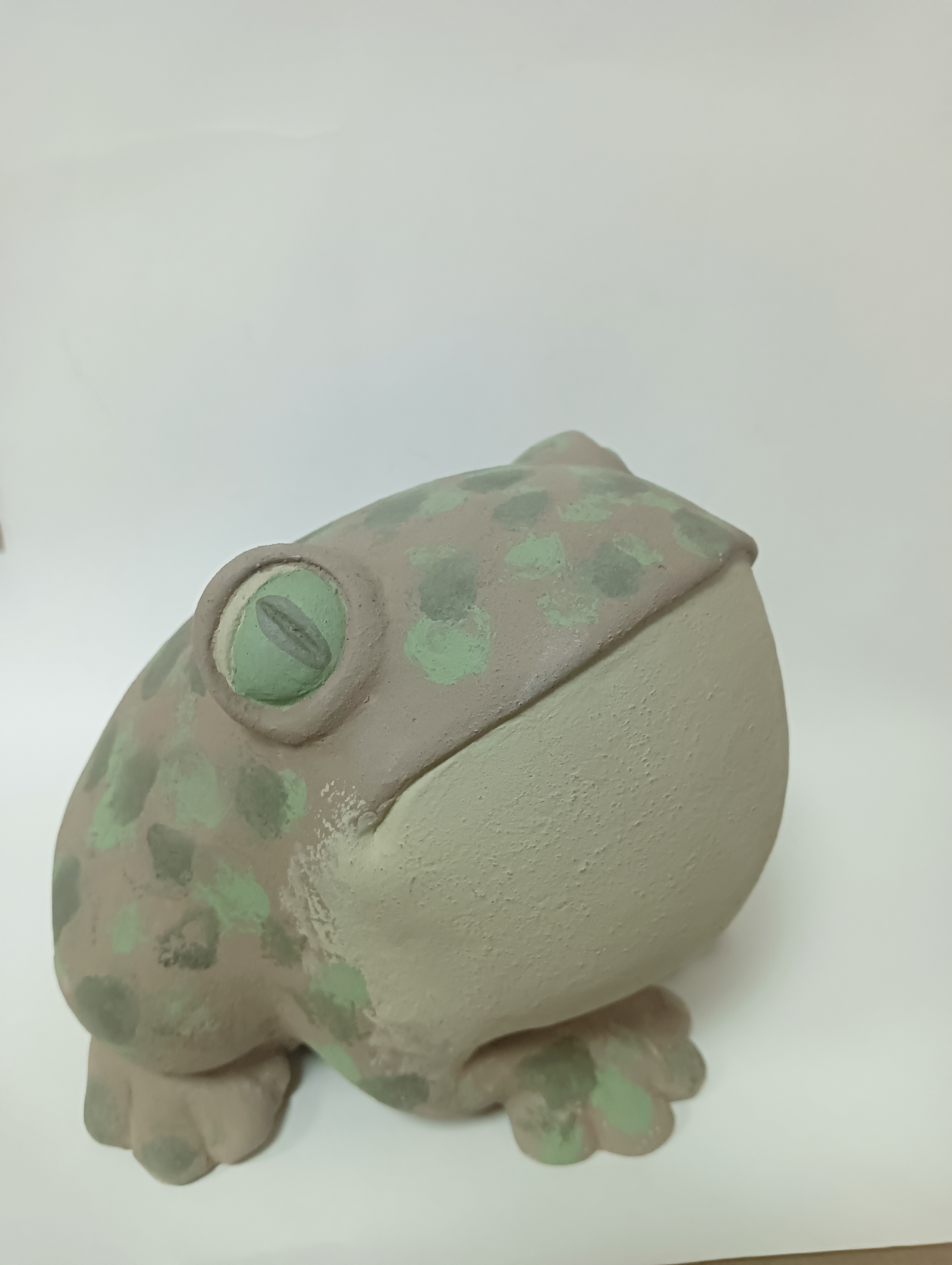 Обложка проекта: лягушка мечтательница