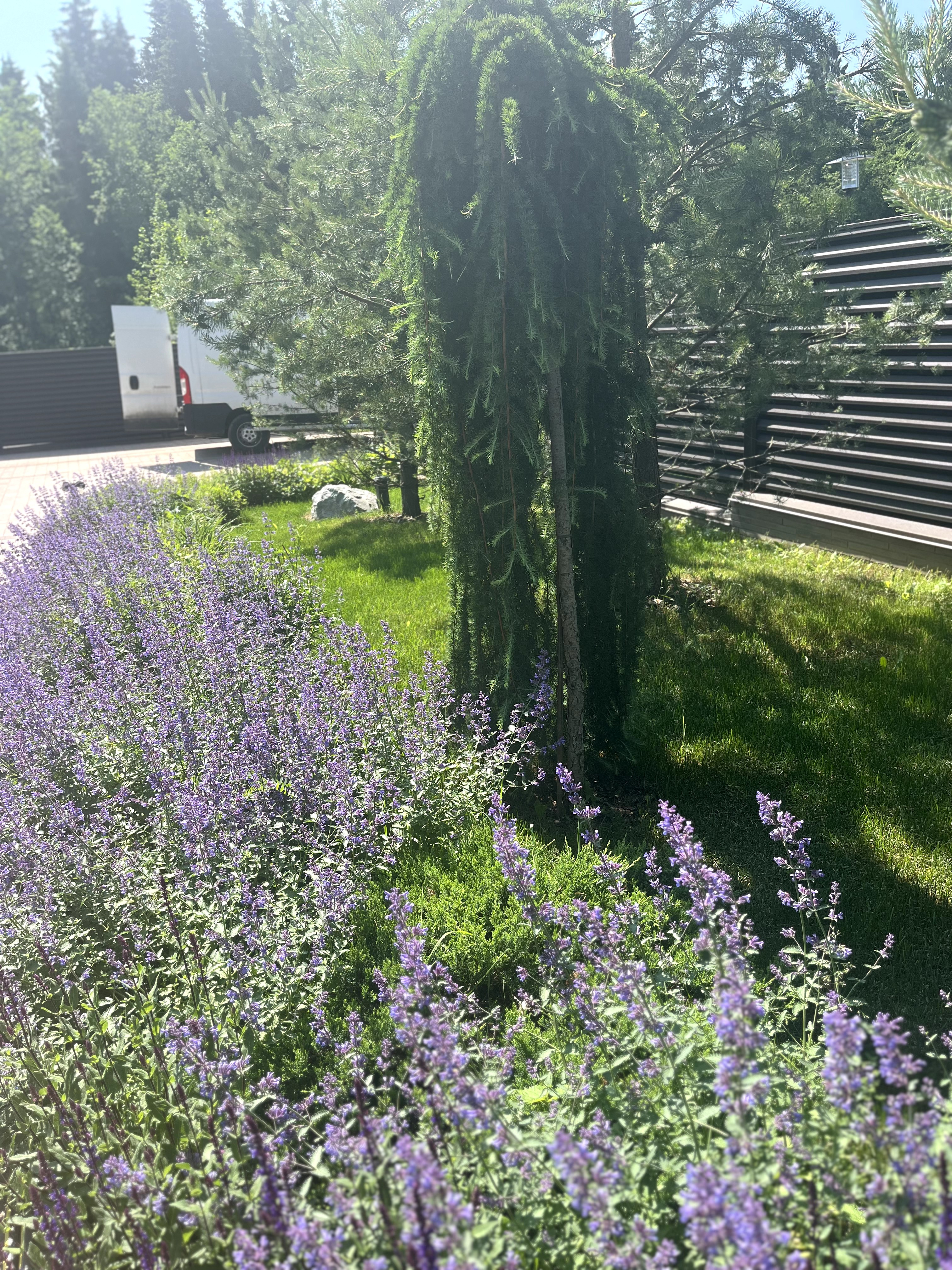 Русский Provence