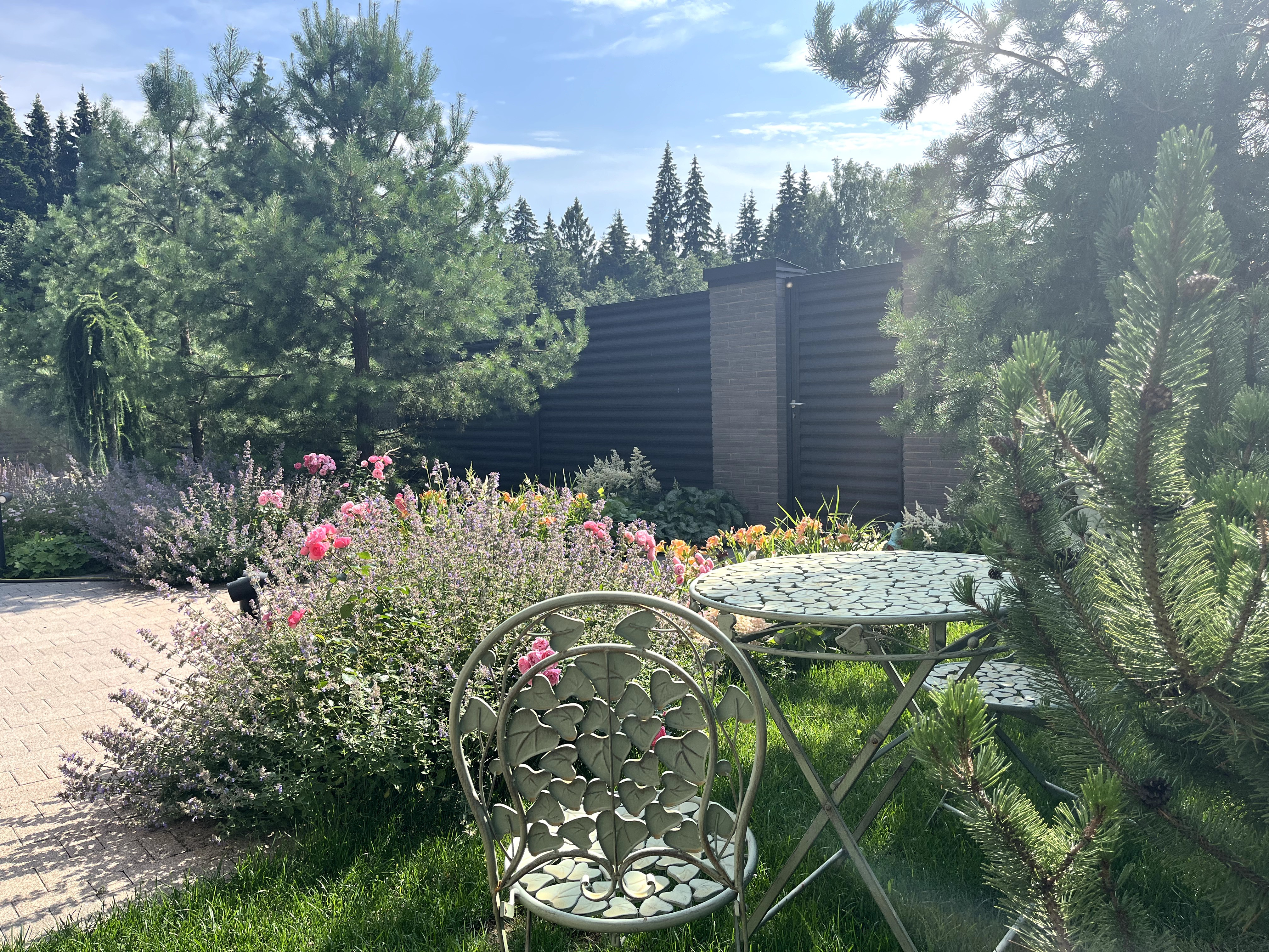 Русский Provence