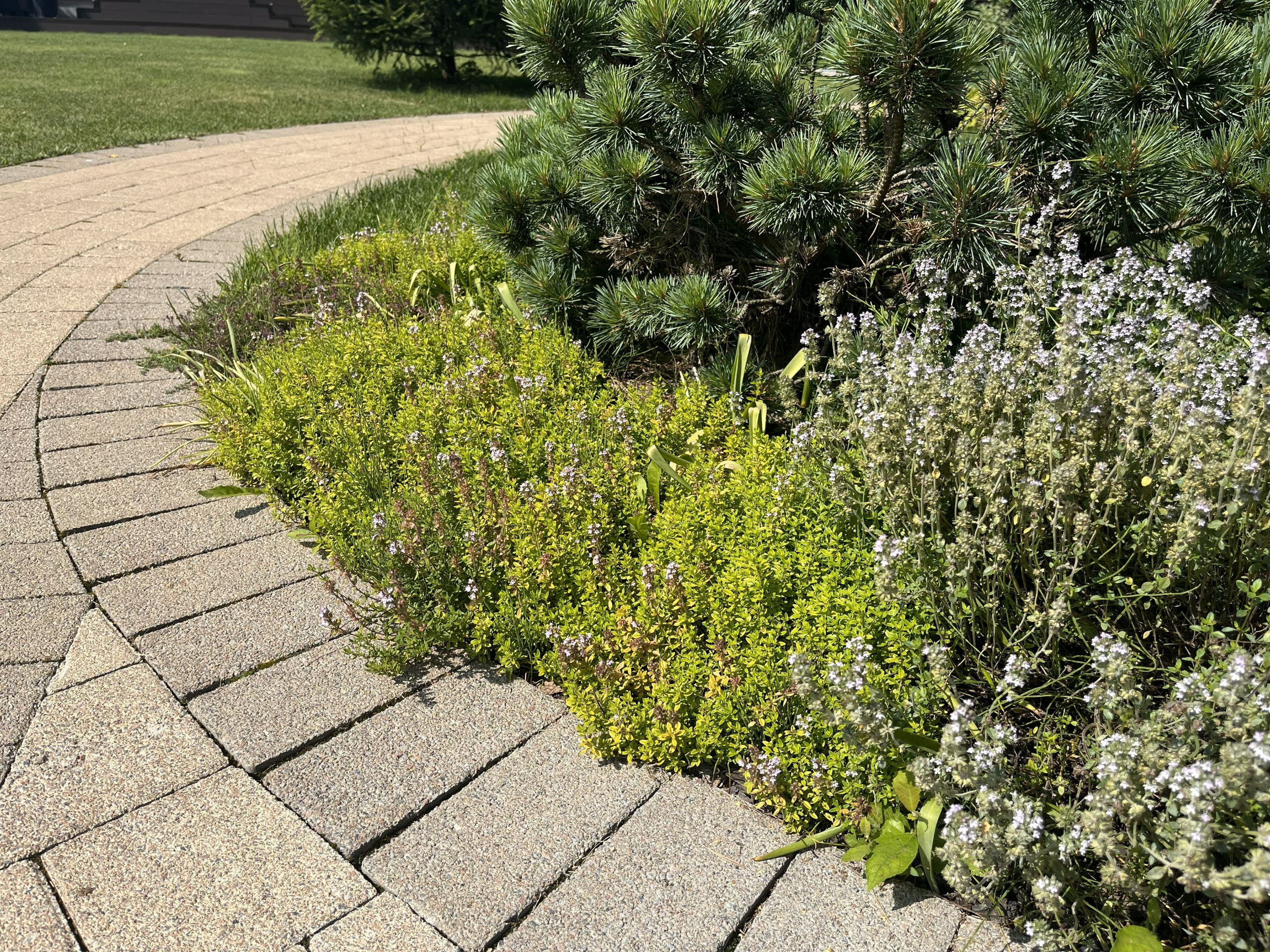 Русский Provence