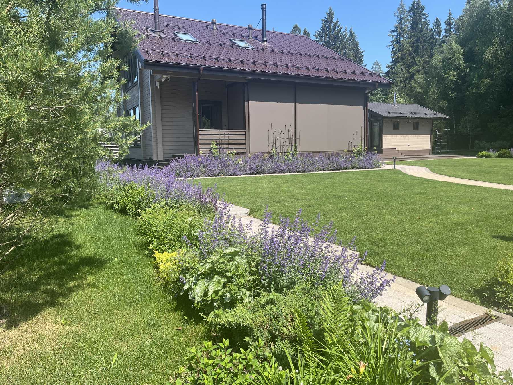 Русский Provence