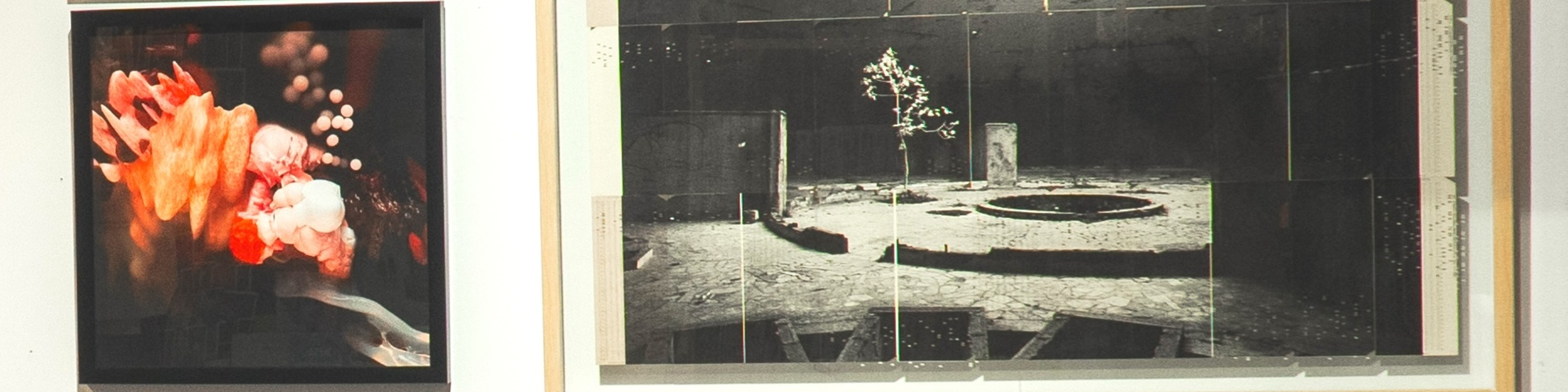 ФотоДепартамент FotoDepartament