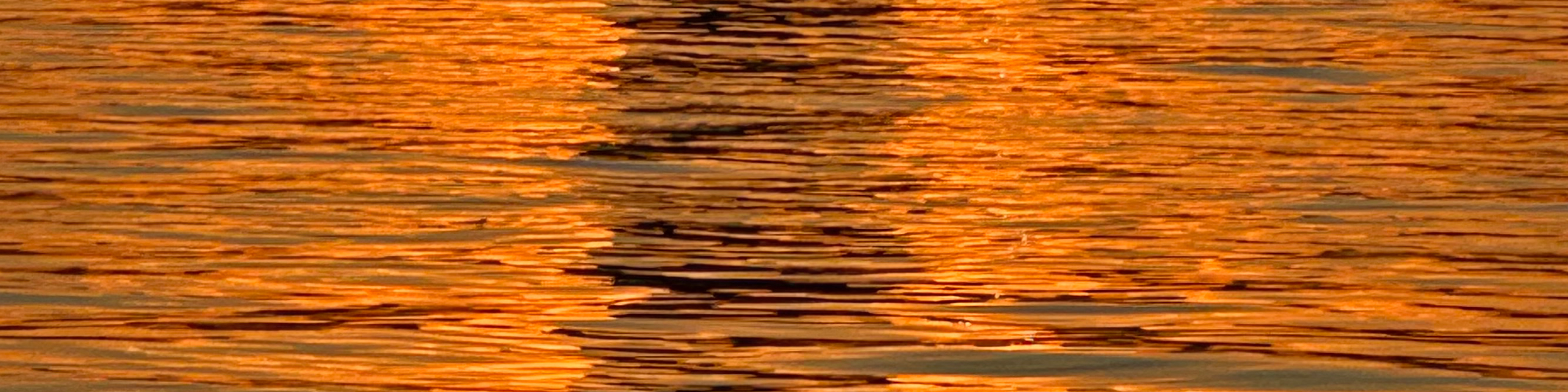 Инна Буйволова