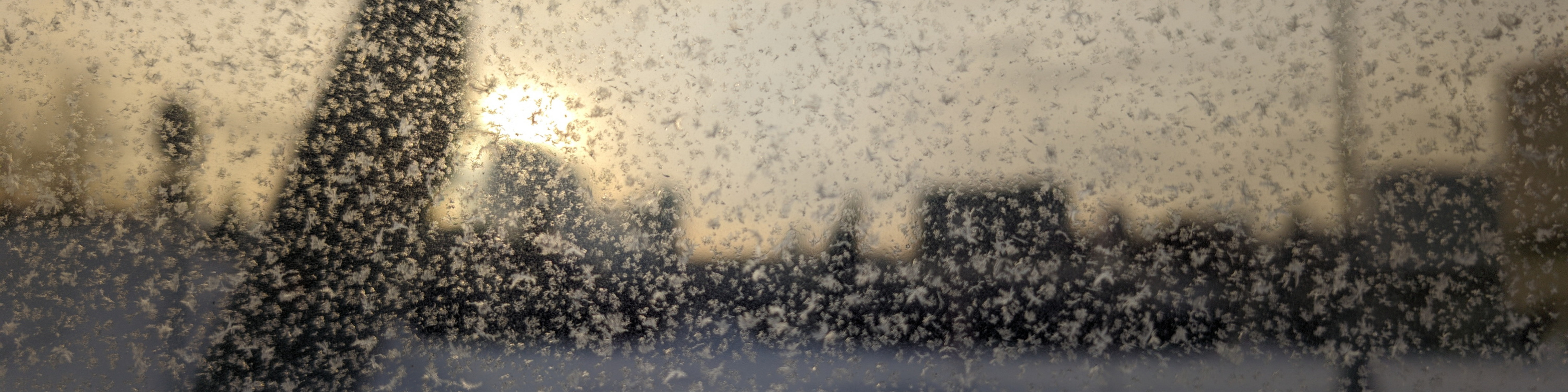 Николай Бубало