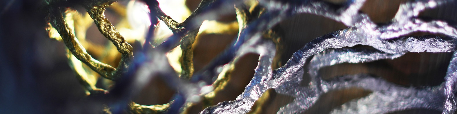 Маргарита Казарина