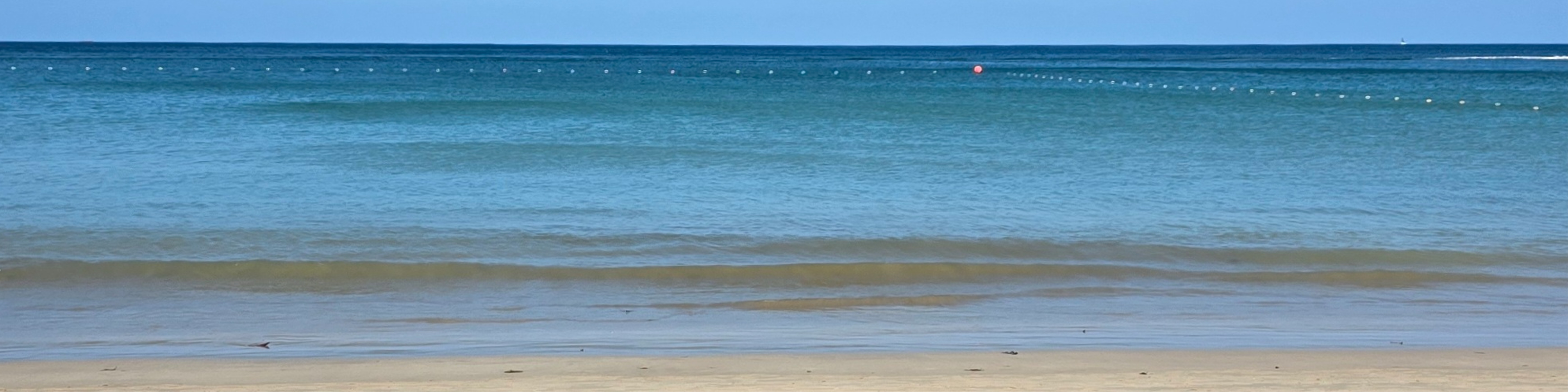 Трухина Оксана