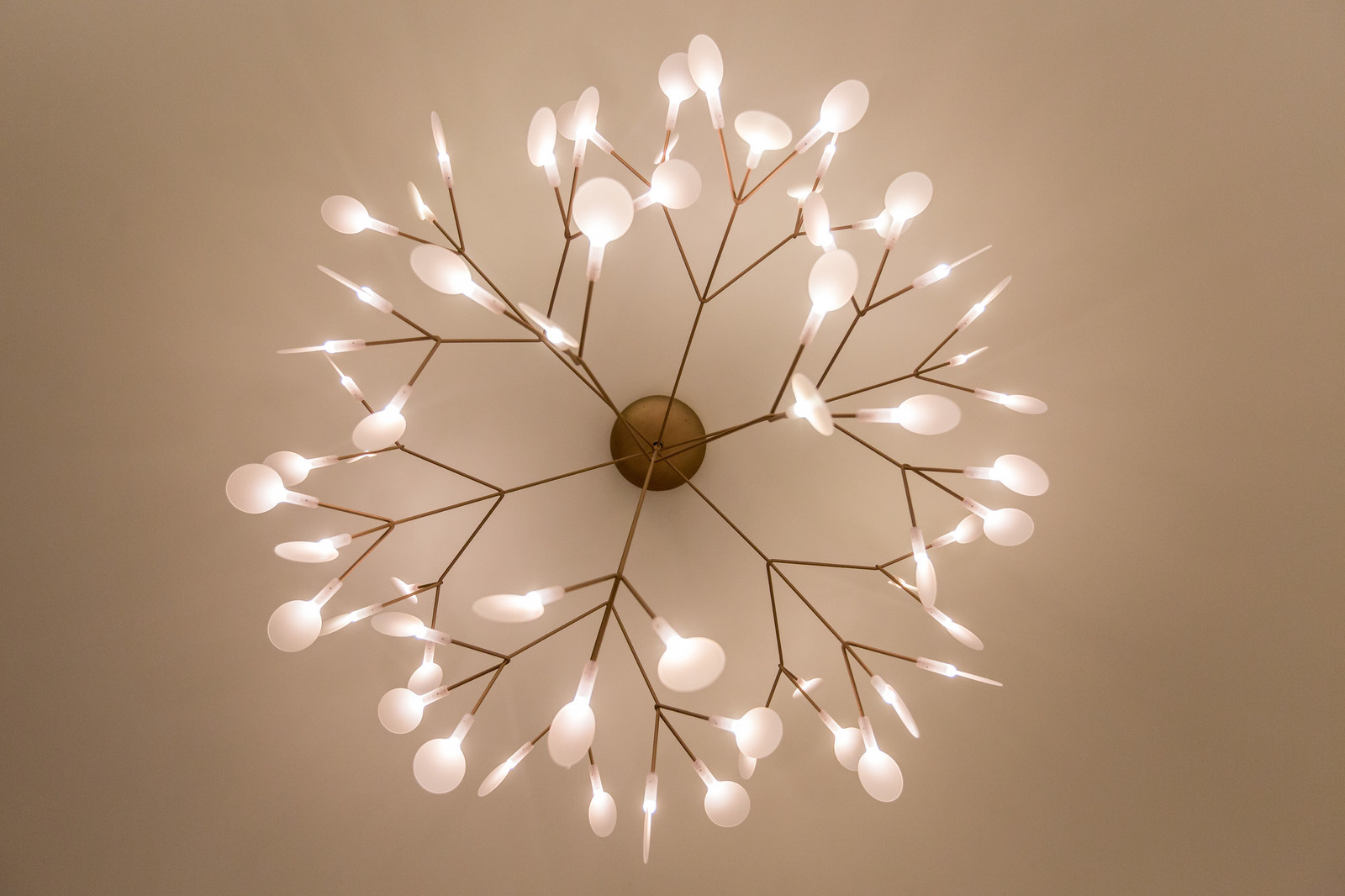 Красота в деталях