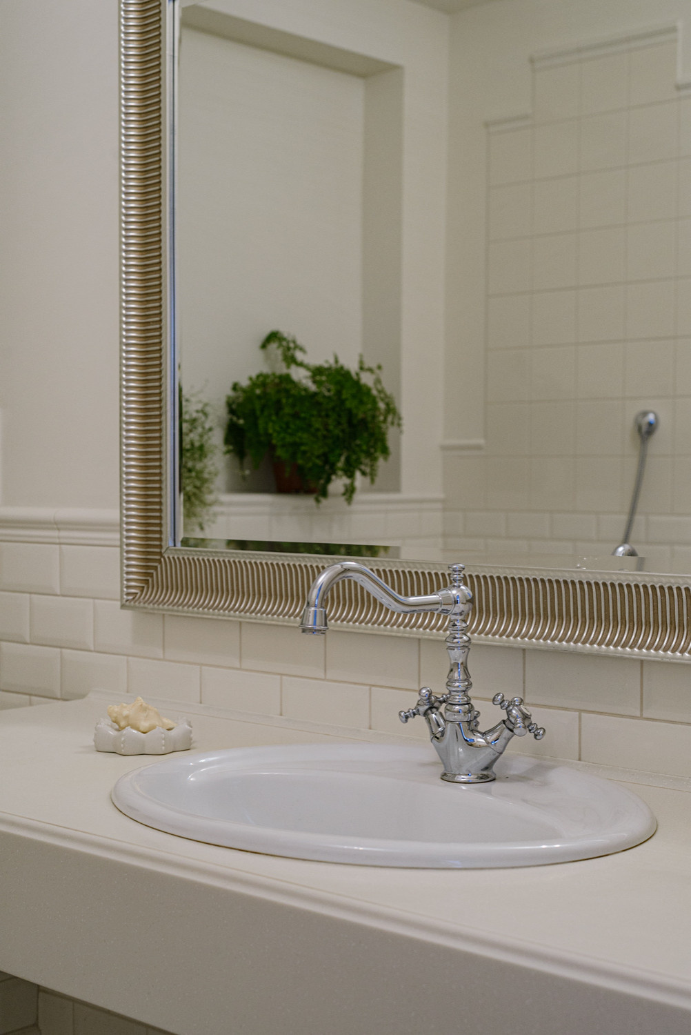 Цветы и солнце