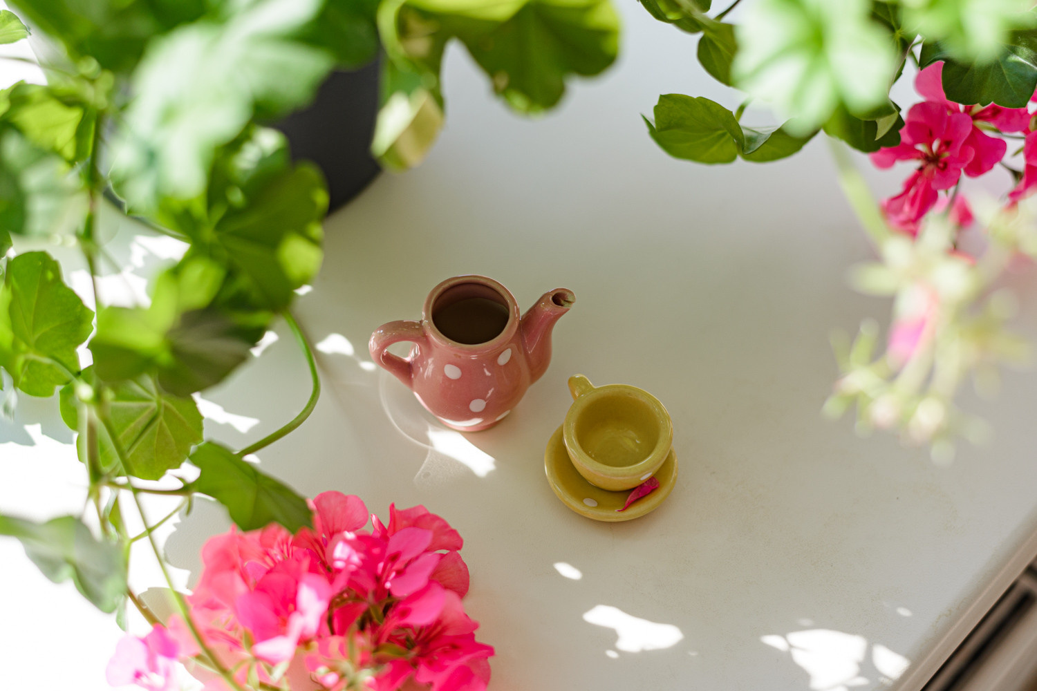 Цветы и солнце