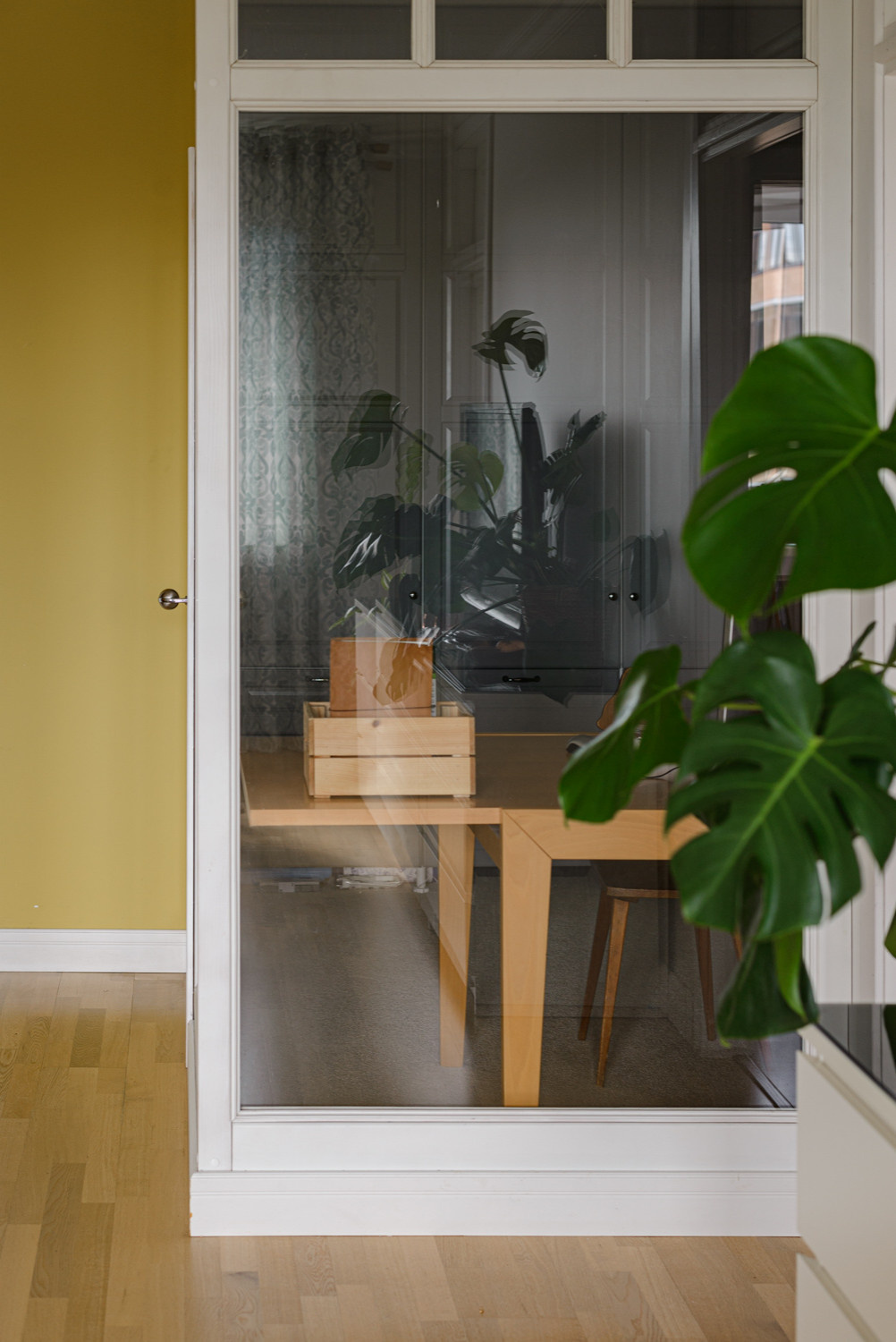 Цветы и солнце