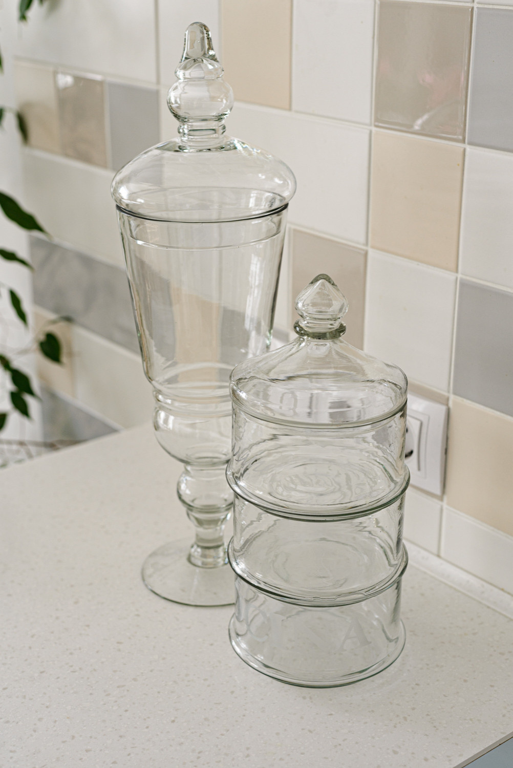 Цветы и солнце