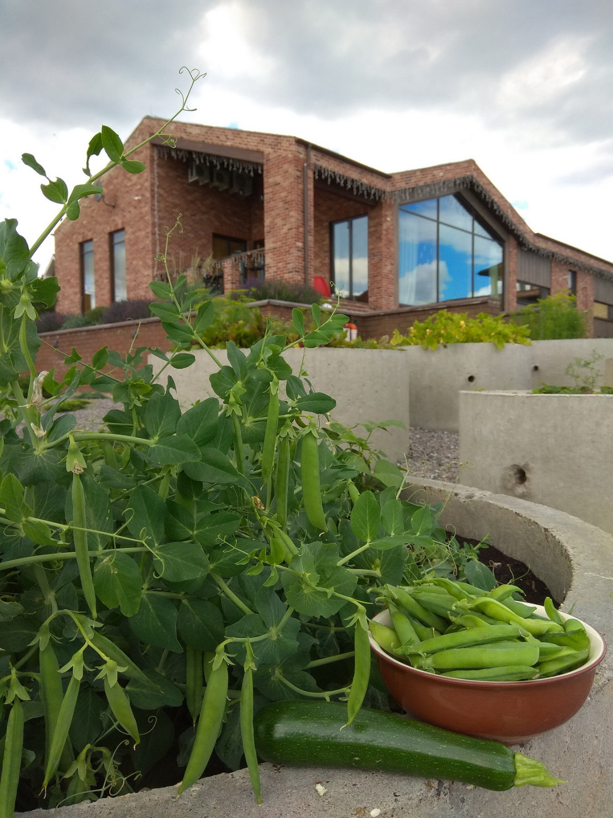 Русская Голландия