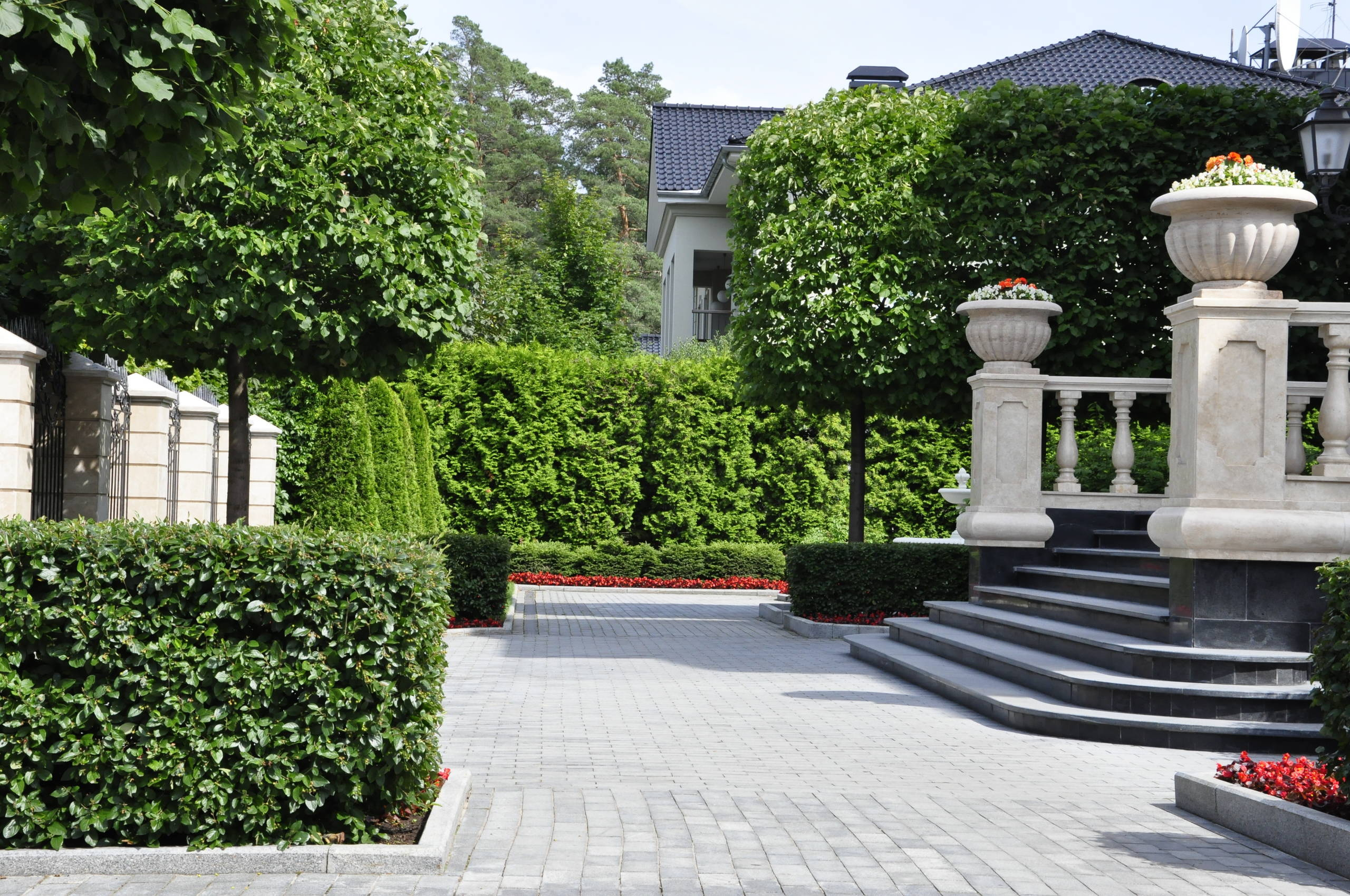 Зрелый сад: Как организовать уход за деревьями