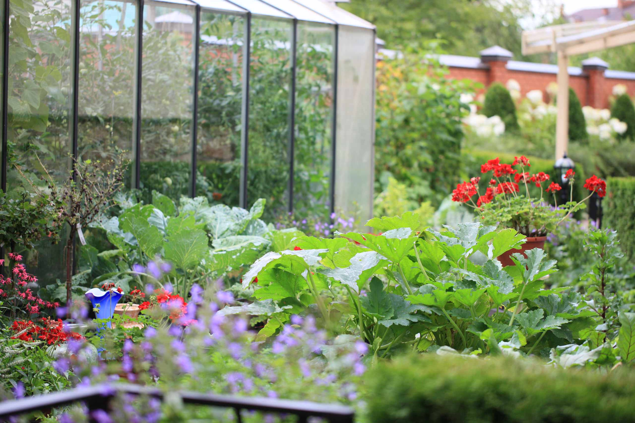 В гостях: Сад на 14 сотках, где живут круглый год